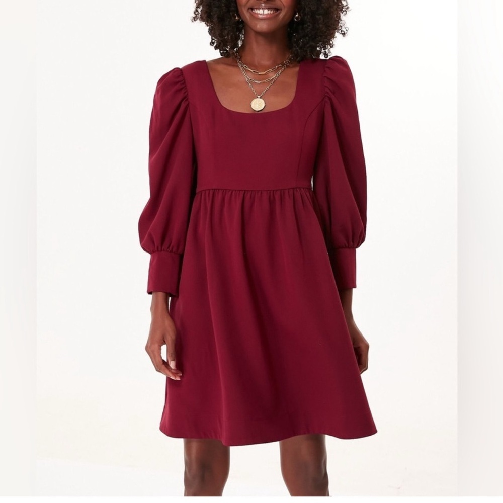 Tuckernuck Burgundy Mini Dress